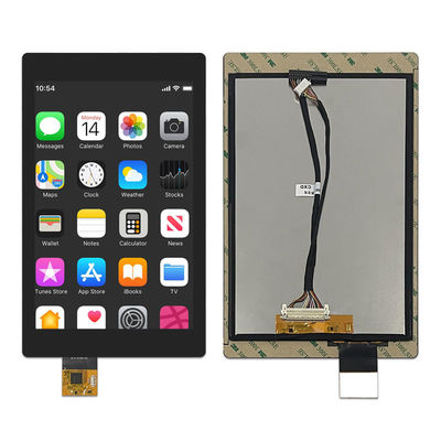 Modulo LCD da 10 pollici 800*1280 Display LCD